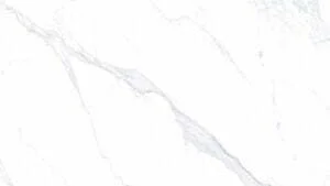 alice white a 爱丽丝白