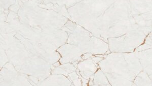 panaro white 帕纳罗白 3