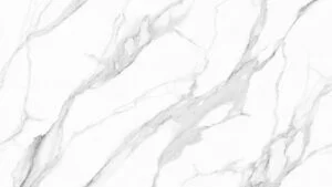 rosa white 罗莎白1