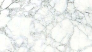 statuario x 雪花白x 1