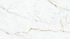 保利白 baoli white 3