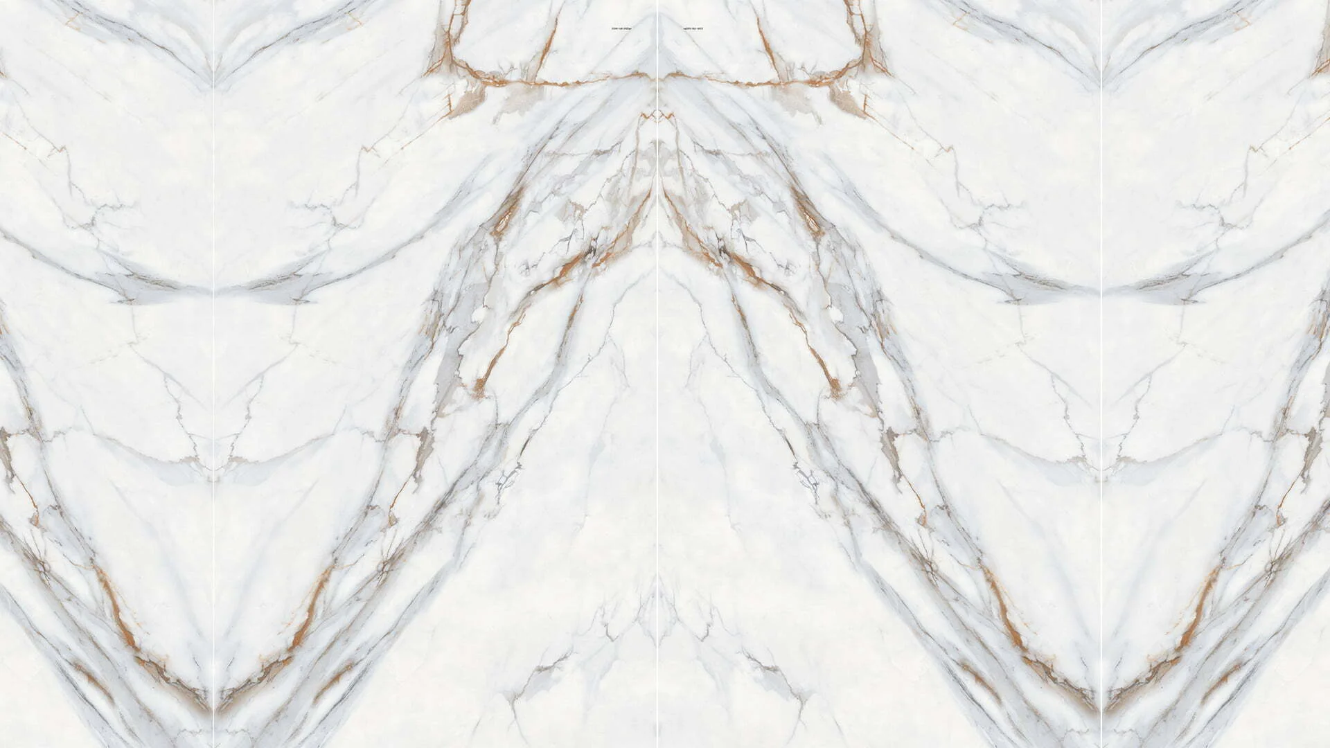 幻影浮光 calacatta gold 2