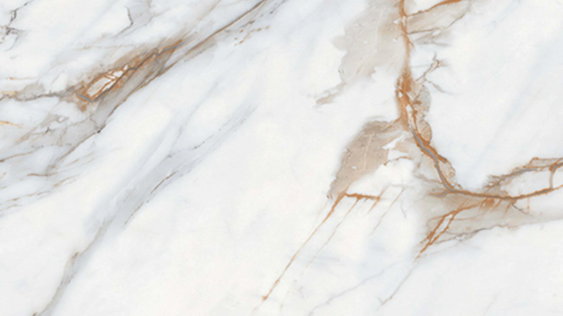 幻影浮光 calacatta gold 4